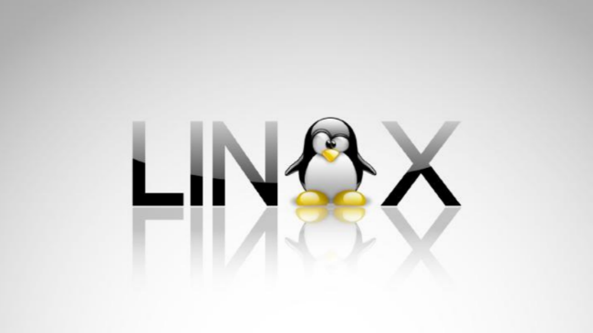 Windows、Linux修改连接数限制